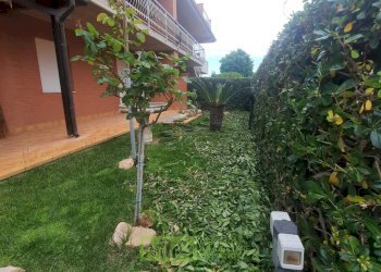 Foto 2 - Trilocale Via De Gasperi
 
8, Altidona - foto 2