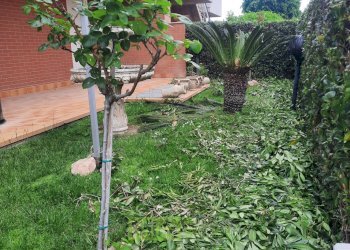 Foto 3 - Trilocale Via De Gasperi
 
8, Altidona - foto 3