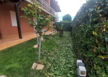 Foto 2 - Trilocale Via De Gasperi
 
8, Altidona - foto 2