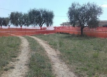 Foto 3 - Terreno edificabile Ancarano - foto 3