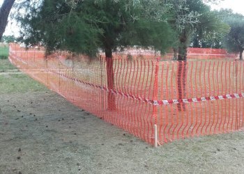 Foto 4 - Terreno edificabile Ancarano - foto 4