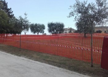 Foto 5 - Terreno edificabile Ancarano - foto 5