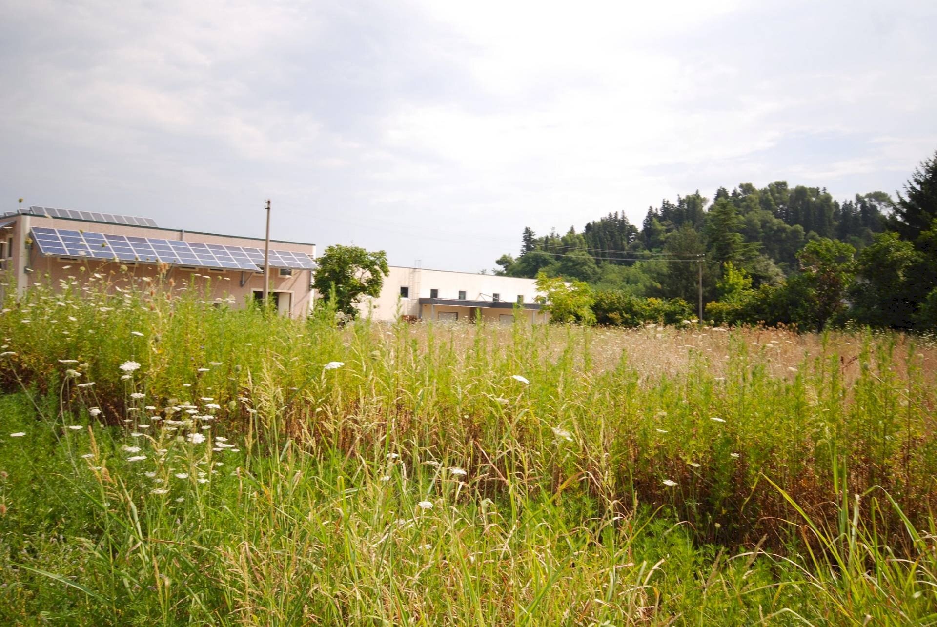 Foto 2 - Terreno edificabile Ascoli Piceno - foto 2