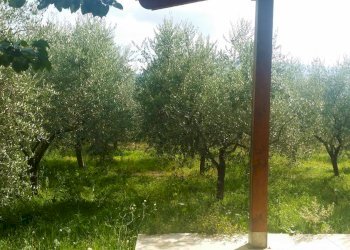 Foto 7 - Rustico Isernia - foto 7