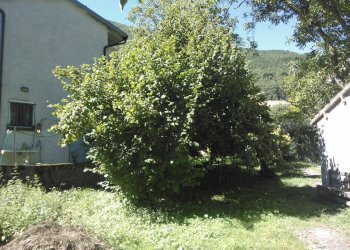 Foto 23 - Independent house 5, Cantiano - photo 23