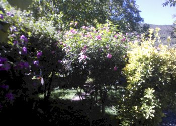 Foto 24 - Independent house 5, Cantiano - photo 24