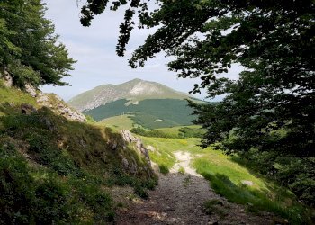 Foto 31 - Independent house 5, Cantiano - photo 31