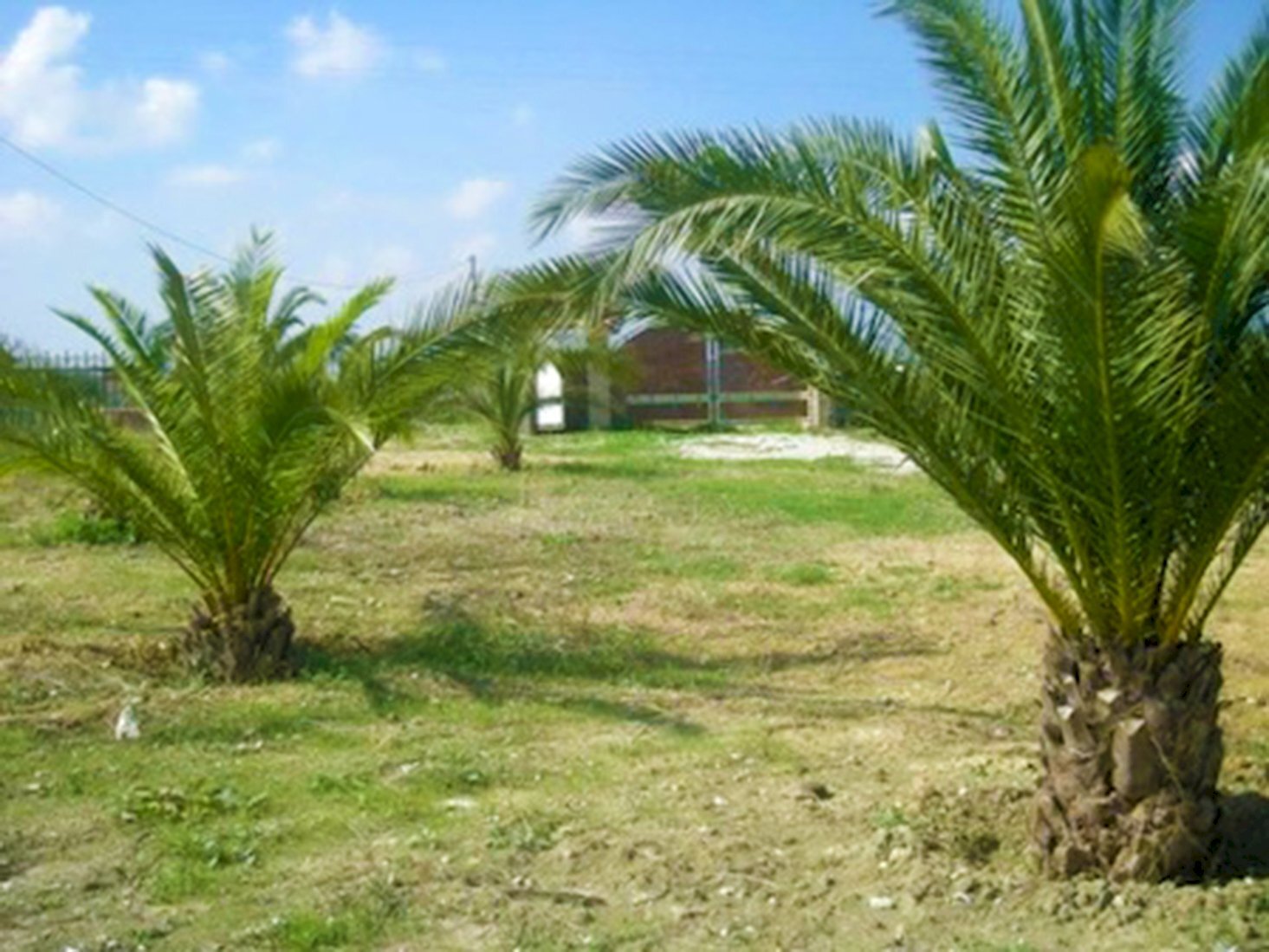 Foto 3 - Villa Teramo - foto 3