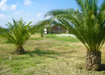 Foto 6 - Villa Teramo - foto 6