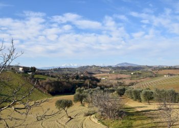 Foto 21 - Rustico 1, Monsampolo del Tronto - foto 21