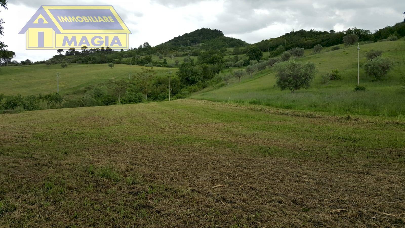 Foto 1 - Agricultural land Ascoli Piceno - photo 1