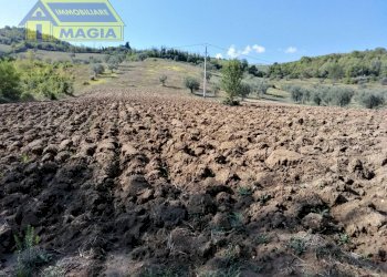 Foto 6 - Terreno agricolo Ascoli Piceno - foto 6
