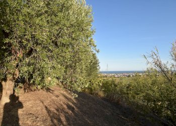 Foto 14 - Rustico 41, San Benedetto del Tronto - foto 14