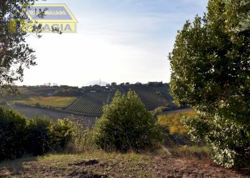 Foto 28 - Rustico 41, San Benedetto del Tronto - foto 27