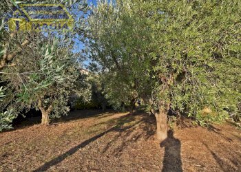 Foto 31 - Rustico 41, San Benedetto del Tronto - foto 30