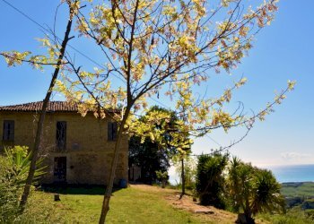 Foto 11 - Rustico 115, Martinsicuro - foto 11