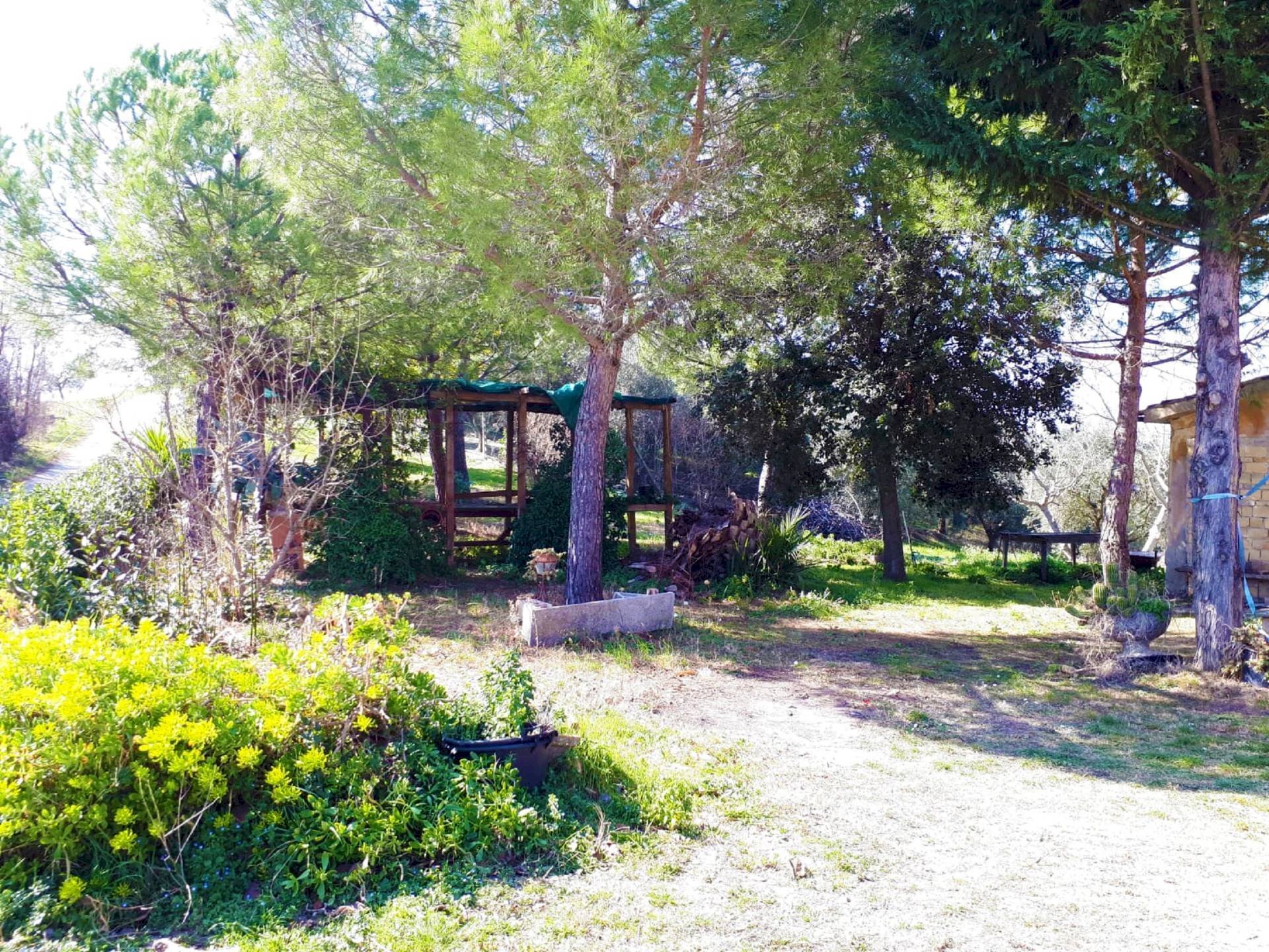 Foto 3 - Rustico Monsampolo del Tronto - foto 3