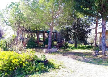 Foto 3 - Rustico Monsampolo del Tronto - foto 3