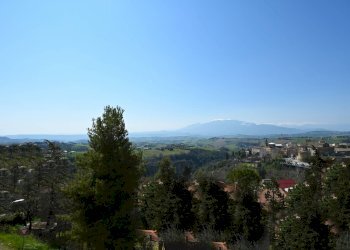 Foto 14 - Appartamento Offida - foto 14