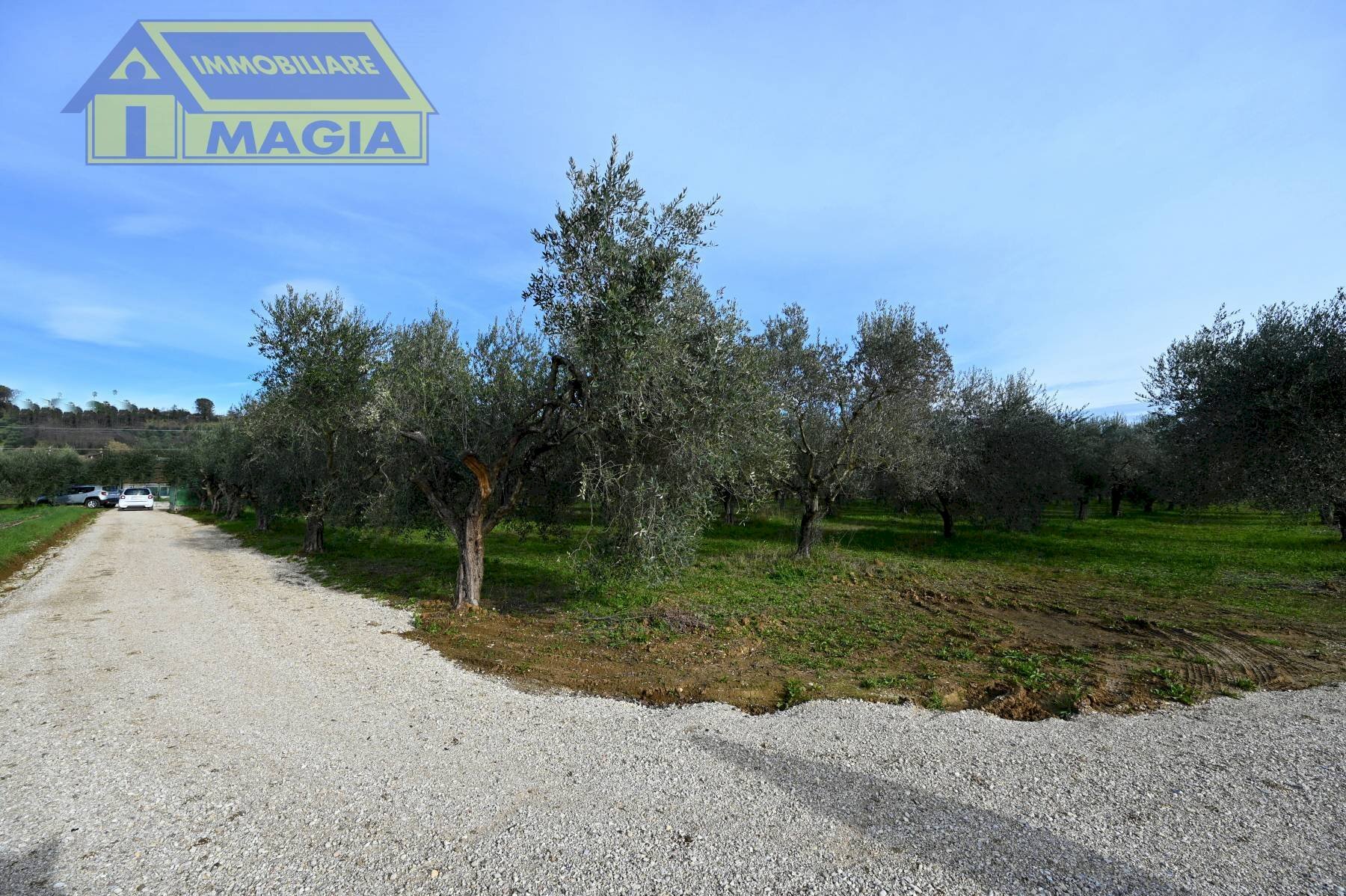 Foto 2 - Terreno agricolo 62, Colli del Tronto - foto 2