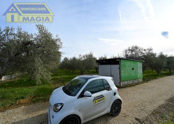 Foto 1 - Terreno agricolo 62, Colli del Tronto - foto 1