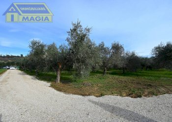 Foto 2 - Terreno agricolo 62, Colli del Tronto - foto 2