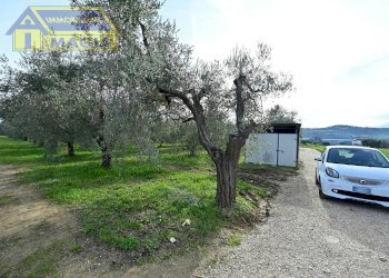 Foto 4 - Terreno agricolo 62, Colli del Tronto - foto 4