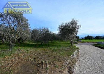 Foto 5 - Terreno agricolo 62, Colli del Tronto - foto 5