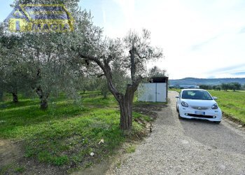 Foto 6 - Terreno agricolo 62, Colli del Tronto - foto 6