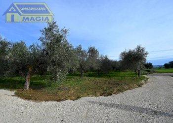 Foto 8 - Terreno agricolo 62, Colli del Tronto - foto 8