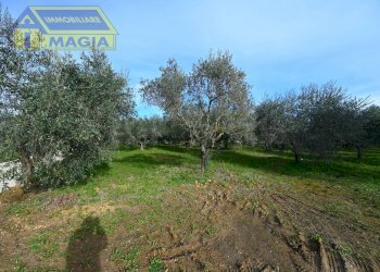 Foto 10 - Terreno agricolo 62, Colli del Tronto - foto 10