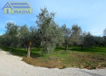 Foto 11 - Terreno agricolo 62, Colli del Tronto - foto 11