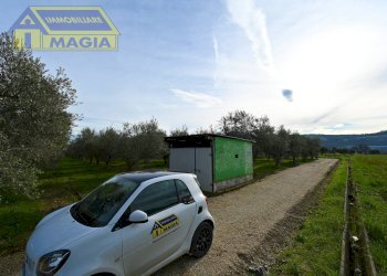 Foto 12 - Terreno agricolo 62, Colli del Tronto - foto 12