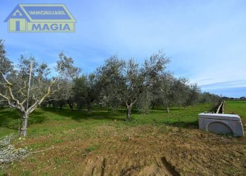 Foto 13 - Terreno agricolo 62, Colli del Tronto - foto 13