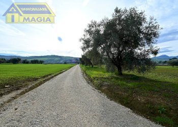 Foto 14 - Terreno agricolo 62, Colli del Tronto - foto 14