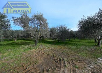 Foto 15 - Terreno agricolo 62, Colli del Tronto - foto 15