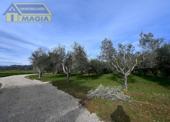 Foto 17 - Terreno agricolo 62, Colli del Tronto - foto 17