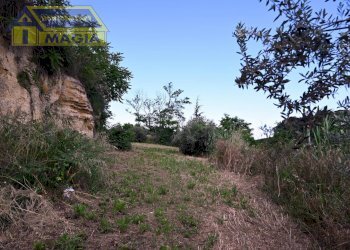 Foto 7 - Rustico 2, Montefiore dell'Aso - foto 7