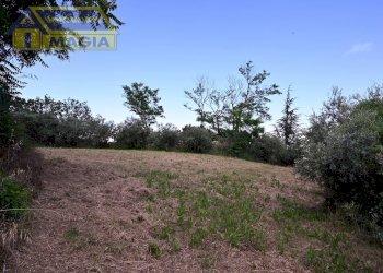 Foto 8 - Rustico 2, Montefiore dell'Aso - foto 8