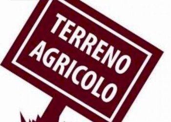 Foto 1 - Terreno agricolo Castel di Lama - foto 1