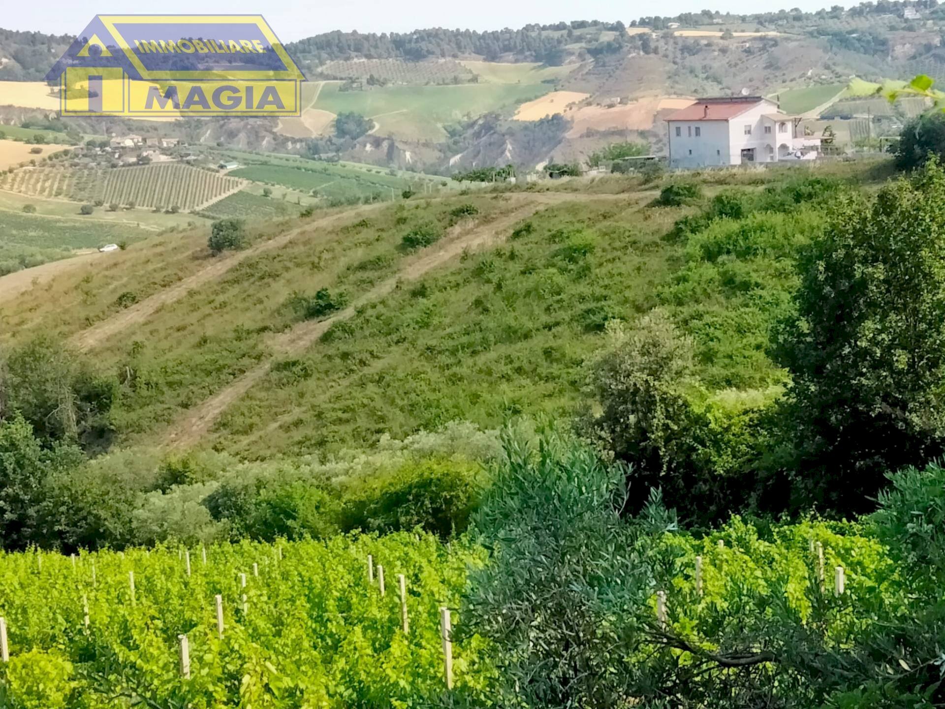 Foto 2 - Agricultural land Acquaviva Picena - photo 2