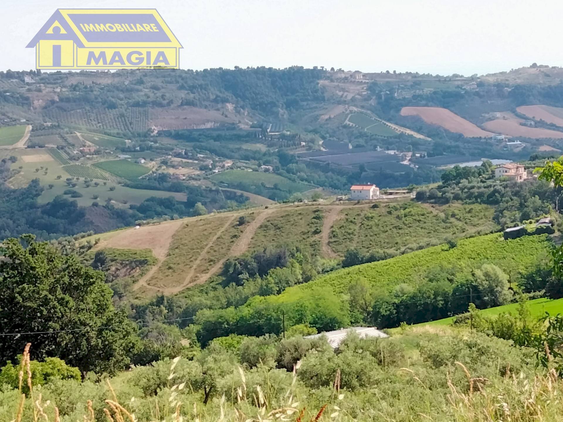 Foto 3 - Agricultural land Acquaviva Picena - photo 3