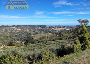 Foto 1 - Agricultural land Acquaviva Picena - photo 1