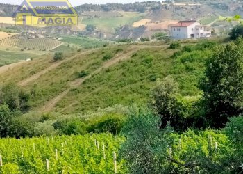 Foto 2 - Agricultural land Acquaviva Picena - photo 2