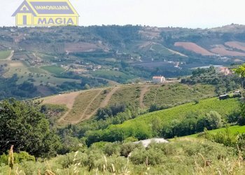 Foto 3 - Agricultural land Acquaviva Picena - photo 3