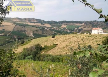 Foto 6 - Agricultural land Acquaviva Picena - photo 6