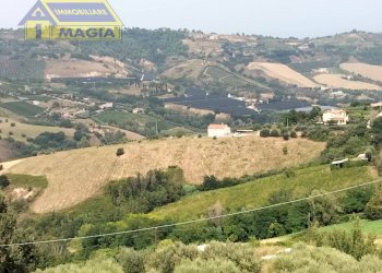 Foto 7 - Agricultural land Acquaviva Picena - photo 7