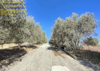 Foto 3 - Terreno edificabile Monteprandone - foto 3