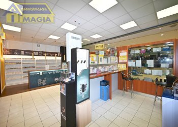 Foto 16 - Attività Commerciale 100, Ascoli Piceno - foto 16