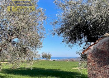 Foto 4 - Rustico 2, Corropoli - foto 4